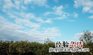 臭氧污染的危害 臭氧污染的危害有哪些