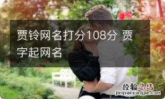 贾铃网名打分108分 贾字起网名