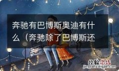 奔驰除了巴博斯还有一个是什么 奔驰有巴博斯奥迪有什么