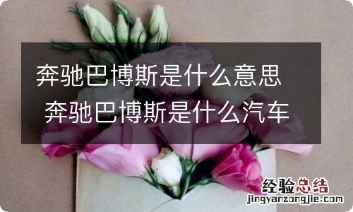 奔驰巴博斯是什么意思 奔驰巴博斯是什么汽车
