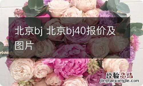 北京bj 北京bj40报价及图片