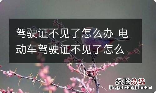 驾驶证不见了怎么办 电动车驾驶证不见了怎么办