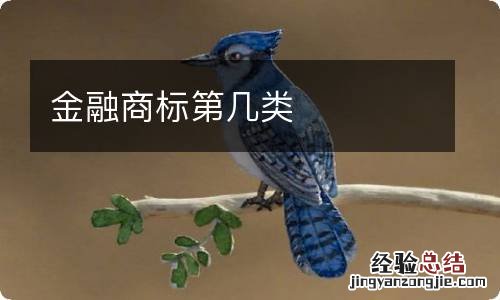 金融商标第几类