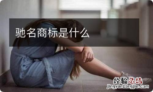 驰名商标是什么