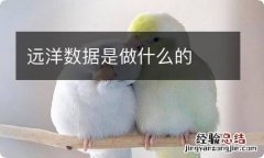 远洋数据是做什么的