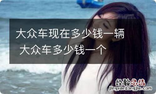 大众车现在多少钱一辆 大众车多少钱一个