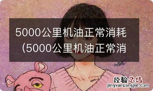 5000公里机油正常消耗多少钱 5000公里机油正常消耗