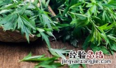 艾叶茶早上喝还是晚上喝好 艾叶茶晚上可以喝吗