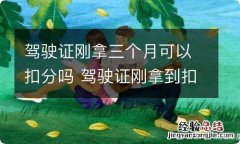 驾驶证刚拿三个月可以扣分吗 驾驶证刚拿到扣3分可以吗