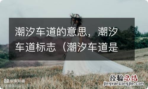 潮汐车道是什么含义 潮汐车道的意思，潮汐车道标志