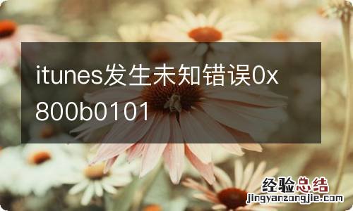 itunes发生未知错误0x800b0101