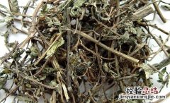 墨旱莲的功效与作用 墨旱莲的功效与作用与主治