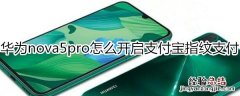 华为nova5pro怎么开启支付宝指纹支付