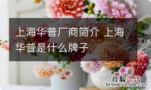 上海华普厂商简介 上海华普是什么牌子