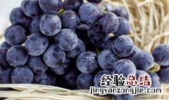 夏天葡萄干要放冰箱吗 夏天葡萄干要放冰箱吗多少度