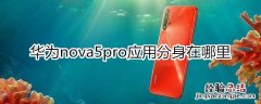 华为nova5pro应用分身在哪里