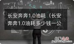 长安奔奔1.0油耗多少钱一公里 长安奔奔1.0油耗