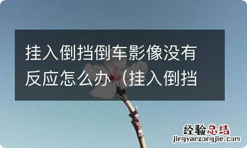 挂入倒挡倒车影像没有反应怎么办呢 挂入倒挡倒车影像没有反应怎么办