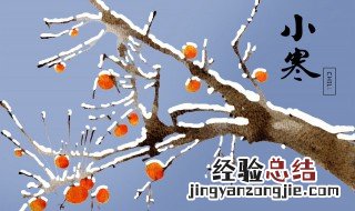 小寒是什么意思含义 小寒是什么意思