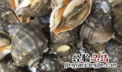 海螺怎么保存才新鲜 可以存放多久呢