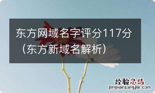 东方新域名解析 东方网域名字评分117分