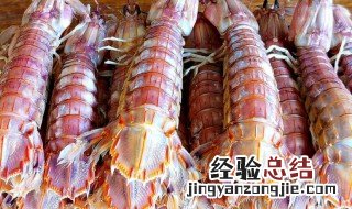 皮皮虾怎样放冰箱保存 皮皮虾怎么保存在冰箱