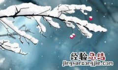 有关雪的说说心情短语 关于雪的说说心情短语大全