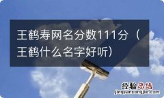 王鹤什么名字好听 王鹤寿网名分数111分