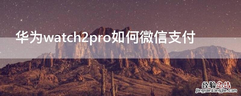 华为watch2pro如何微信支付 华为手表新款watch gt2pro微信支付