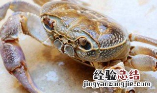 养螃蟹要沙子吗 需要用沙子养殖