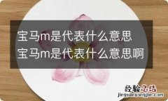 宝马m是代表什么意思 宝马m是代表什么意思啊