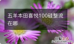 五羊本田喜悦100硅整流在哪