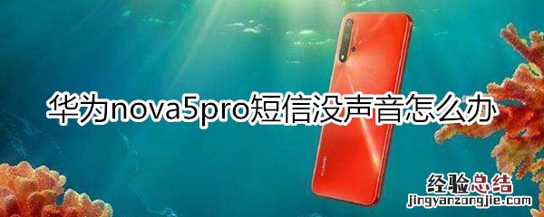 华为nova5pro短信没声音怎么办