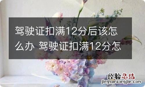 驾驶证扣满12分后该怎么办 驾驶证扣满12分怎么处理方法