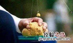 春季鲤鱼拉饵手工制作方法视频 春季鲤鱼拉饵手工制作方法