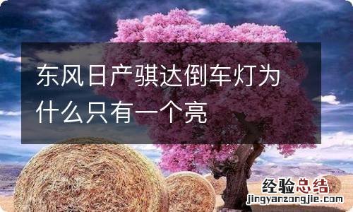 东风日产骐达倒车灯为什么只有一个亮