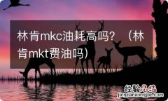 林肯mkt费油吗 林肯mkc油耗高吗？