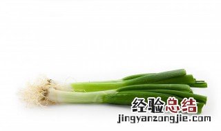 葱根栽种方法 在家怎么种葱