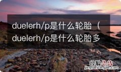 duelerh/p是什么轮胎多少钱 duelerh/p是什么轮胎