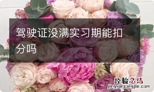 驾驶证没满实习期能扣分吗