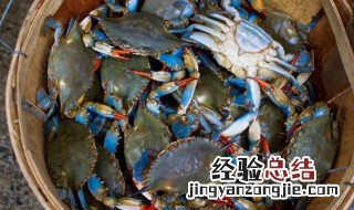 螃蟹怎样清洗才干净 螃蟹怎样清洗才干净图解