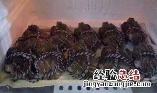 螃蟹的储存方法有哪些图片 螃蟹的储存方法有哪些