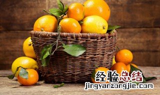 沃柑的籽怎么种? 沃柑的籽怎么种