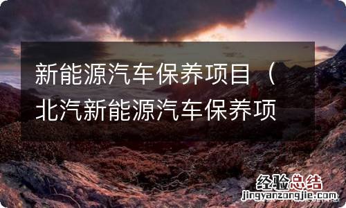 北汽新能源汽车保养项目 新能源汽车保养项目