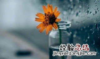 形容下雨时的心情说说简短 形容下雨时的心情说说