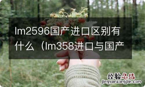 lm358进口与国产的区别 lm2596国产进口区别有什么