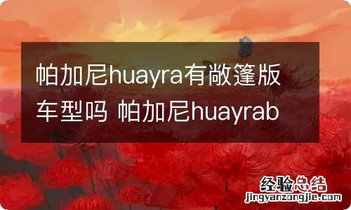 帕加尼huayra有敞篷版车型吗 帕加尼huayrabc敞篷