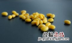 黄豆怎样打成豆浆 黄豆怎样打成豆浆视频