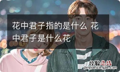 花中君子指的是什么 花中君子是什么花
