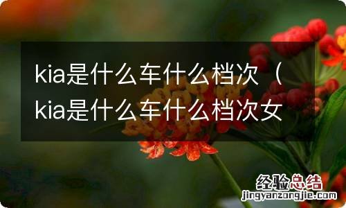 kia是什么车什么档次女款 kia是什么车什么档次